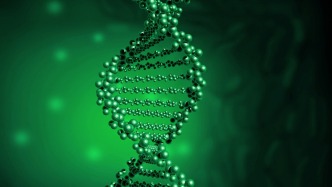 基因对人类寿命的影响或超50%