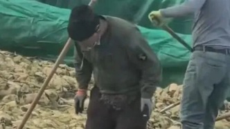 工人在酸菜池中抽烟吐痰：企业被责令停产，负责人被罚百万元