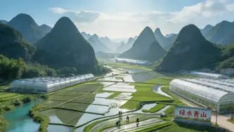 2025年全國(guó)農(nóng)業(yè)總體生產(chǎn)情況簡(jiǎn)析