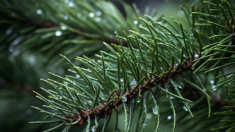 年僅40歲，百億量化私募合伙人沈顯兵去世