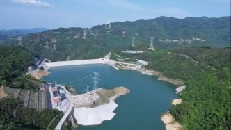 A股最大抽蓄運(yùn)營商：容量電價(jià)新政實(shí)施后，電站利潤不確定性增加