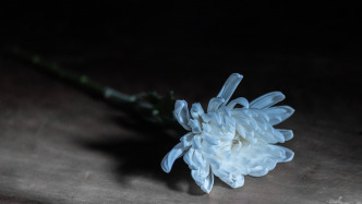 液壓傳動專家王意逝世，曾主持研制我國第一型批量列裝軍用飛機牽引車