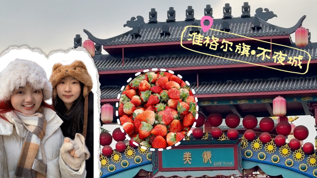 成为中国丨准格尔旗展现“玄冬激情”,草莓“点燃”烟火气