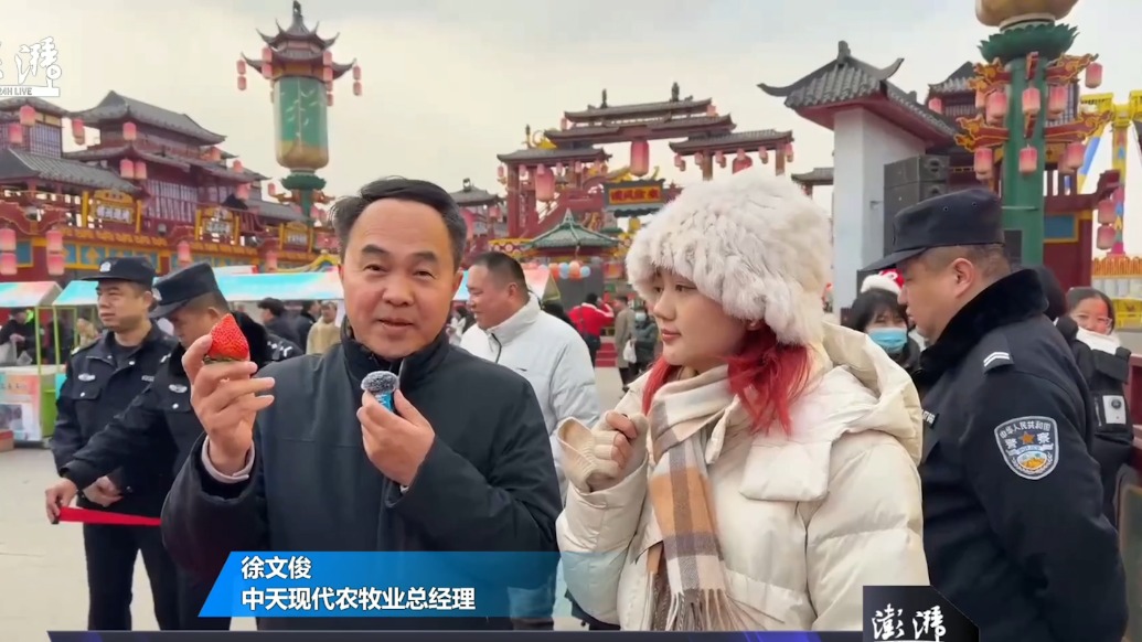 成为中国丨从田间走向全国,准格尔旗展示“宝珠”草莓