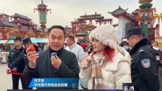 成为中国丨从田间走向全国，准格尔旗展示“宝珠”草莓