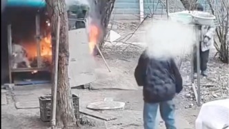 宠物狗被两男孩意外烧死，警方：狗主拒绝6000元“私了”