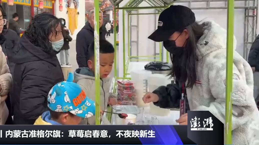 成为中国丨准格尔办起美稷文化雅集,“年味”与“茶香”交融