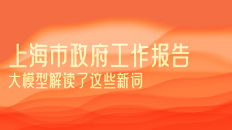 有數(shù)｜今年的上海市政府工作報(bào)告，大模型讀出了這些新詞