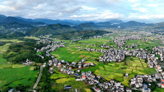 首提“常態(tài)化精準幫扶”，專家解讀2026年中央一號文件