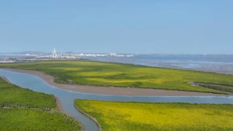 新思想引領(lǐng)新征程丨守護(hù)大美濕地 建設(shè)美麗中國(guó)