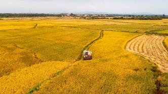 中央一號文件深讀：錨定農(nóng)業(yè)農(nóng)村現(xiàn)代化，首提常態(tài)化精準幫扶
