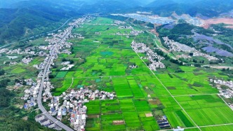 2025年糧食產(chǎn)量近1.43萬億斤