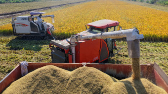 當前我國糧食安全的整體情況如何？中央農(nóng)辦回應(yīng)