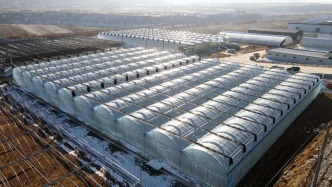 中央農辦：要把農業(yè)防災減災體系建設擺在更加突出的位置