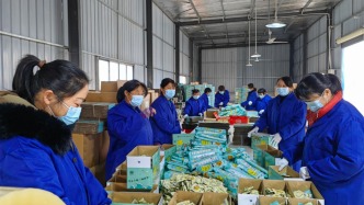 我国脱贫人口务工就业规模连续5年稳定在3000万人以上