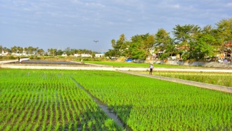 祝卫东：我国已成为农用无人机保有量第一大国