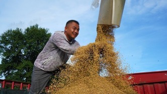 2025年農(nóng)民人均可支配收入達(dá)2.4萬(wàn)元，比上年實(shí)際增長(zhǎng)6%