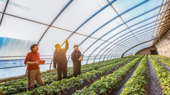 中央農辦：強化農村社會治安整體防控，常態(tài)化開展掃黑除惡