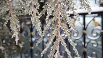 冷空氣“全家桶”即將到貨，上海周五將迎積雪冰凍