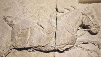 澎湃新闻推出大型贺岁系列报道《寻马记》