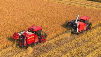 微视频｜让农民挑上“金扁担”