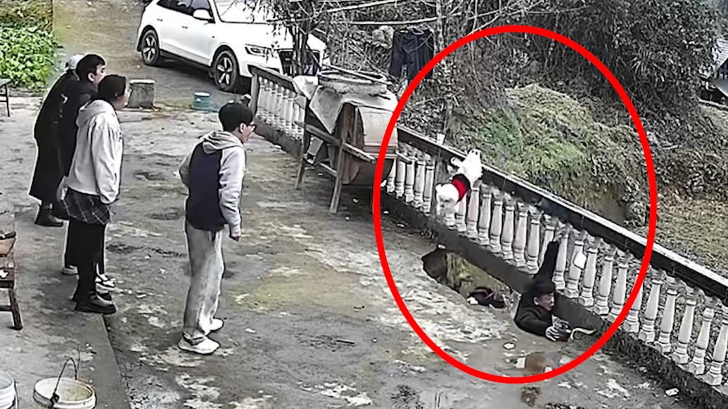 无人机拍下惊险瞬间！三人因露台塌陷坠落擦伤，宠物狗一跃脱险