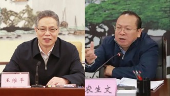 王维平、农生文当选为广西壮族自治区人大常委会副主任