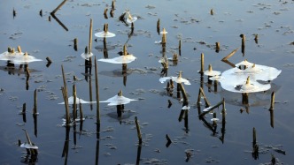 湖南发布寒潮蓝色预警：湘南部分地区平均气温将下降8~10℃