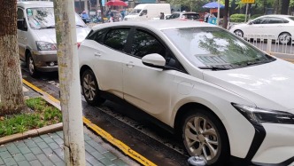 上海两会快评｜路边停车，要规范秩序也要便利营商