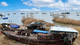 高子华｜杭州的江鲜