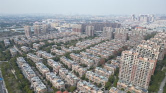 夏佑至评《进入后开发时代》｜社会学与风格