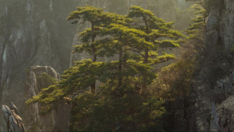 62岁华中师大教授谈国新逝世，系文化科技创新领域资深专家