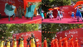 2026年尼日利亚“欢乐春节”庙会暨庆祝中尼建交55周年文艺演出成功举办