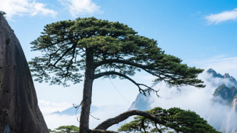 中華醫(yī)學(xué)會(huì)糖尿病學(xué)分會(huì)主要?jiǎng)?chuàng)始人錢榮立辭世，享年93歲