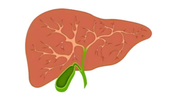 立春時節(jié)這份養(yǎng)肝要點請收藏