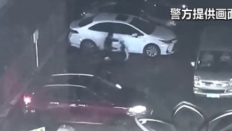 视频丨案值超5亿！海关揭秘团伙“蚂蚁搬家”式走私高档酒