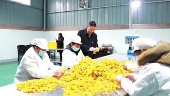 人民日报：由区域试点进入全国规范化实施，乡村职业经理人这样炼成