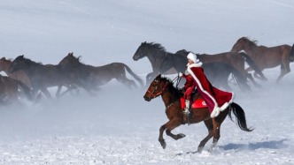 新疆日報頭版長篇通訊：摯愛人間一抹紅——追記實干為民的好干部賀嬌龍
