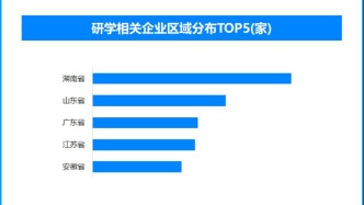 寒假经济新图景：从季节性消费到全链条生态重构