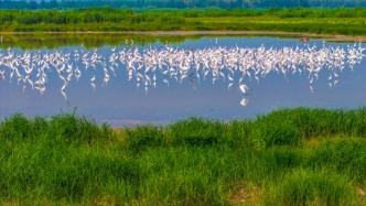 李强签署国务院令，公布修订后的《中华人民共和国自然保护区条例》
