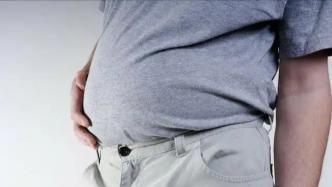 研究發(fā)現(xiàn)脂肪消化選擇性機(jī)制，為減肥藥開(kāi)發(fā)提供新思路