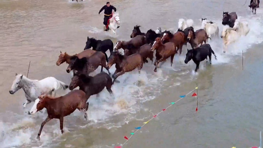 南通文旅局：新春灯会点亮狼山，百匹骏马踏浪迎春