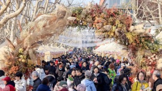 上海黃浦年宵花市18天接待35萬人次，人氣火爆的秘訣是……