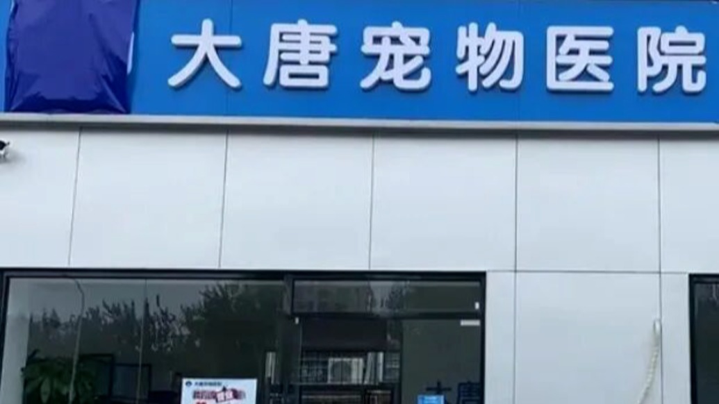 天津一寵物醫(yī)院給狗注射人用胰島素被罰1.3萬(wàn)元：禁止將人用藥品用于動(dòng)物