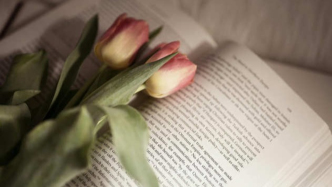 電影未使用導演剪輯版本公映，投資方是否能不支付導演薪酬尾款？