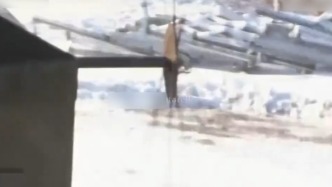 俄军自制反无人机遥控战车“弹飞”来袭物体