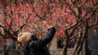 20℃线将推至今年以来最北，春节前就这样暖下去？冷空气接踵而至