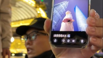 志愿者教你打卡陆家嘴三件套，网友：这综合管理“太全面了”