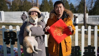 城事·马上春来︱“毛孩子”们怎么过节？