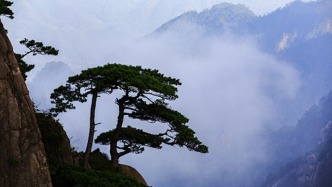 副大军区职退休干部、原总后勤部副部长王太岚逝世，享年86岁